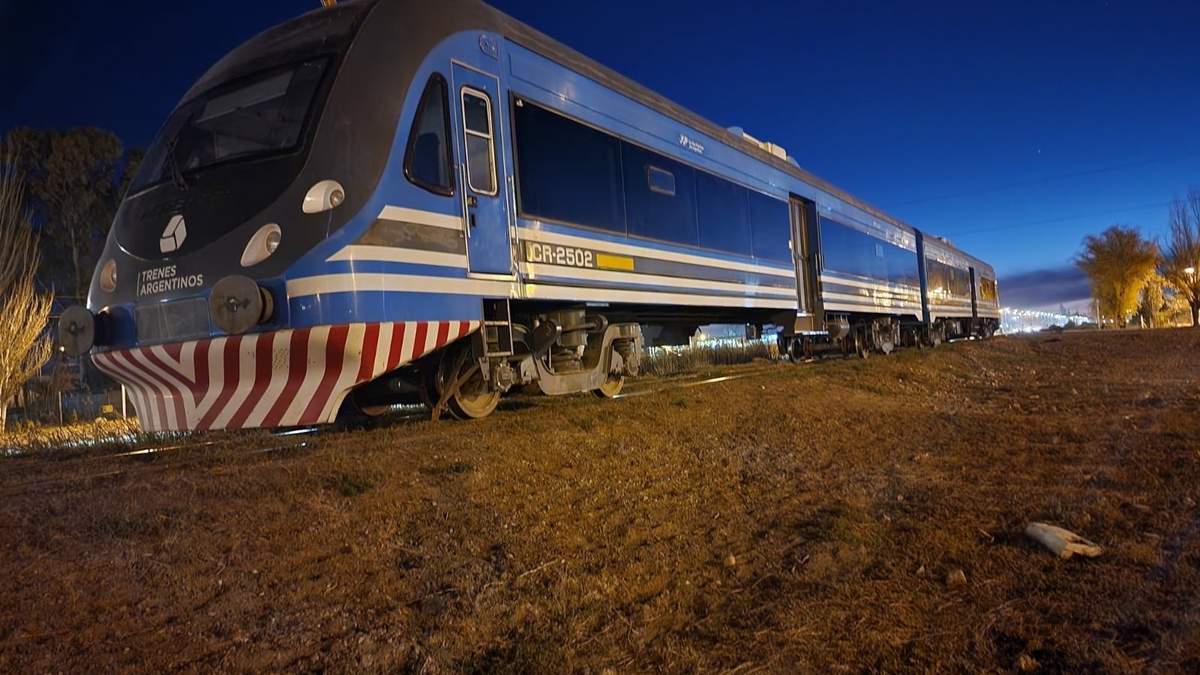 El tren que iba de Neuquén a Plottier estuvo detenido durante 15 minutos. Fuente (Facebook).