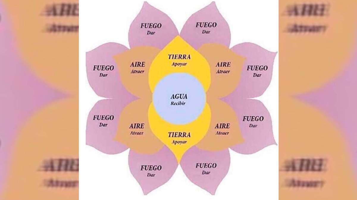 La Flor de la Abundancia, una de las estafas más conocidas. Fuente: (Twitter)