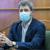 Elecciones 2021: un gobernador pidió que se suspendan las PASO