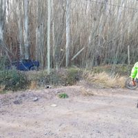 Centenario: Un auto se incrustó en una alameda tras perder el control