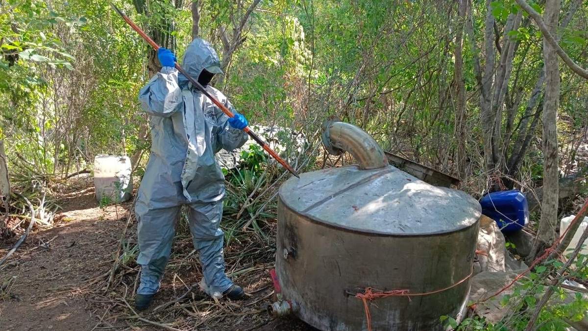 Un laboratorio clandestino de droga asegurado en Sinaloa