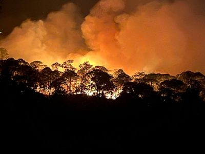 Incendios forestales en Canadá provocan evacuación y caos vial