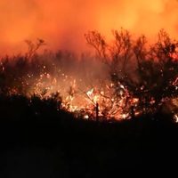 Siniestro en Neuquén: tremendo incendio complicó a Junín de los Andes
