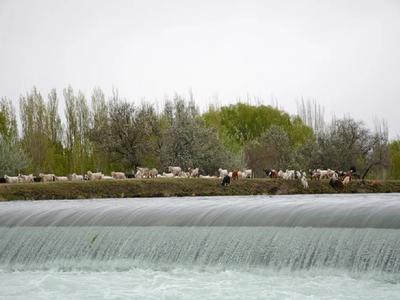 Un oasis de agua en la Patagonia norte: actividades imperdibles a pocos kilómetros de Neuquén