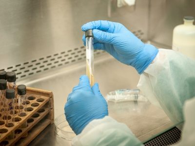 El INTA también trabajará en proyectos para responder a la pandemia de coronavirus