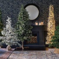 No tires el viejo árbol de Navidad y dale este espectacular uso que beneficia a tu bolsillo
