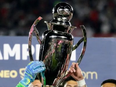 Tras la decisión de la AFA: cómo se jugará el torneo del fútbol argentino en 2025