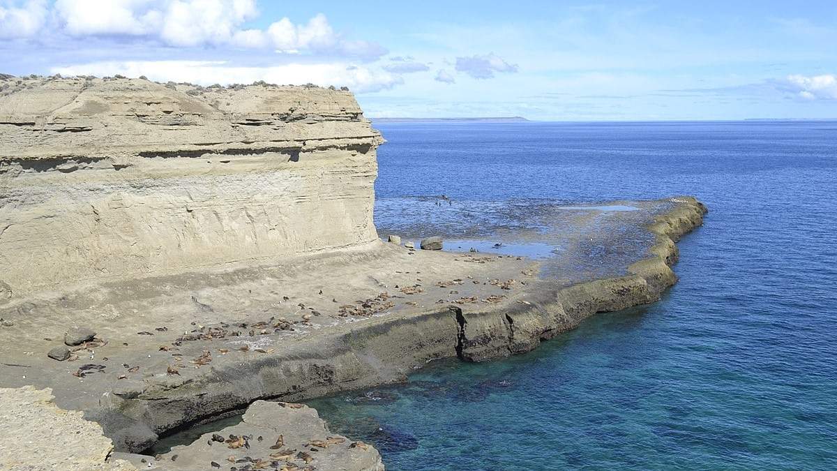 Puerto Pirámides. Fuente: (X)