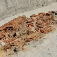 Encontraron una inquietante tumba con cuerpos atados en Perú