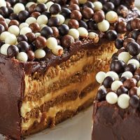 Torta de la abuela sin horno y súper barata: capas de galletas, crema y chocolate para un postre infalible