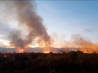 Argentina bajo fuego: hay cuatro provincias con incendios activos