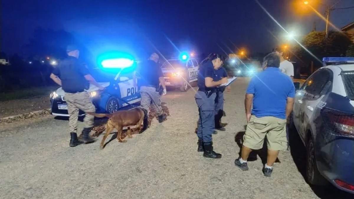 El hecho ocurrió en el barrio Los Cerezos de Plottier. Fuente (X)