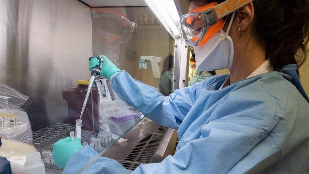 Coronavirus. Fuente: (Twitter)