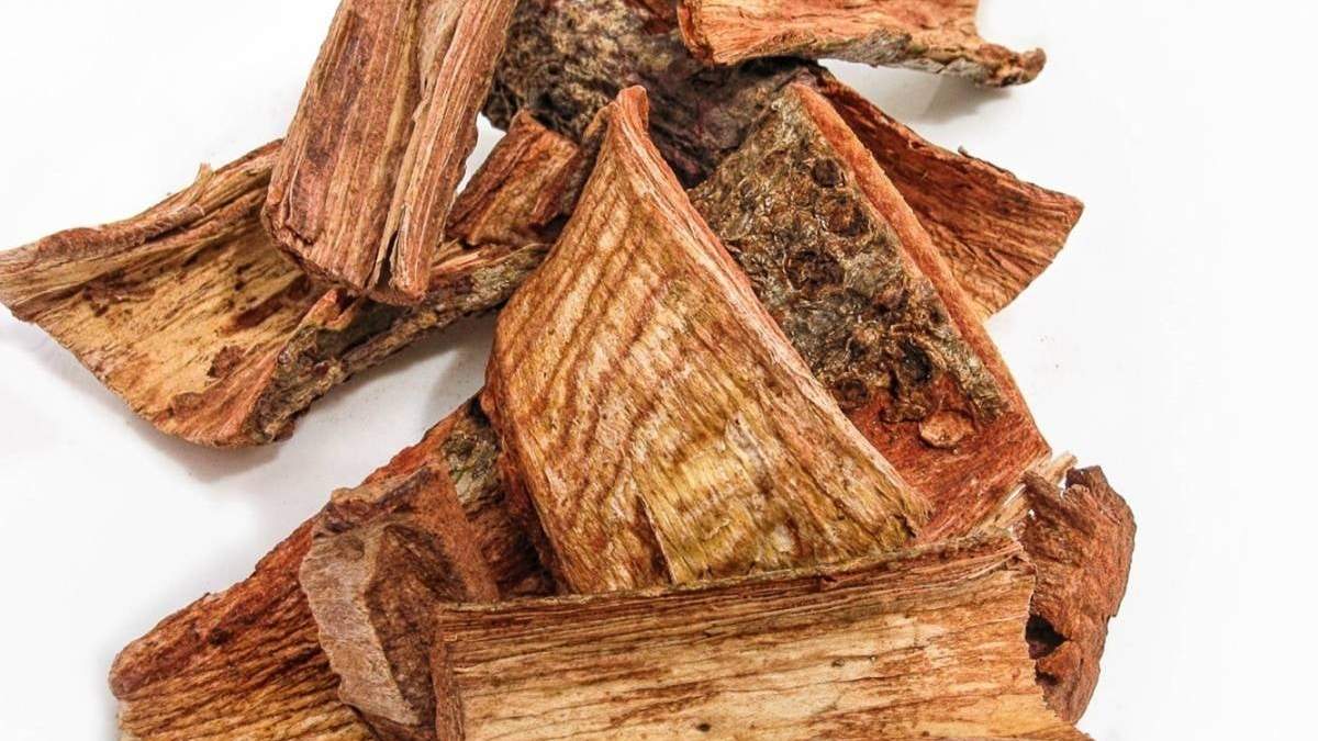 Cuachalalate