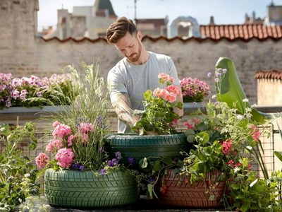 Si ves este insecto en las plantas no lo ahuyentes: así podés ahorrarte mucho dinero en pesticida