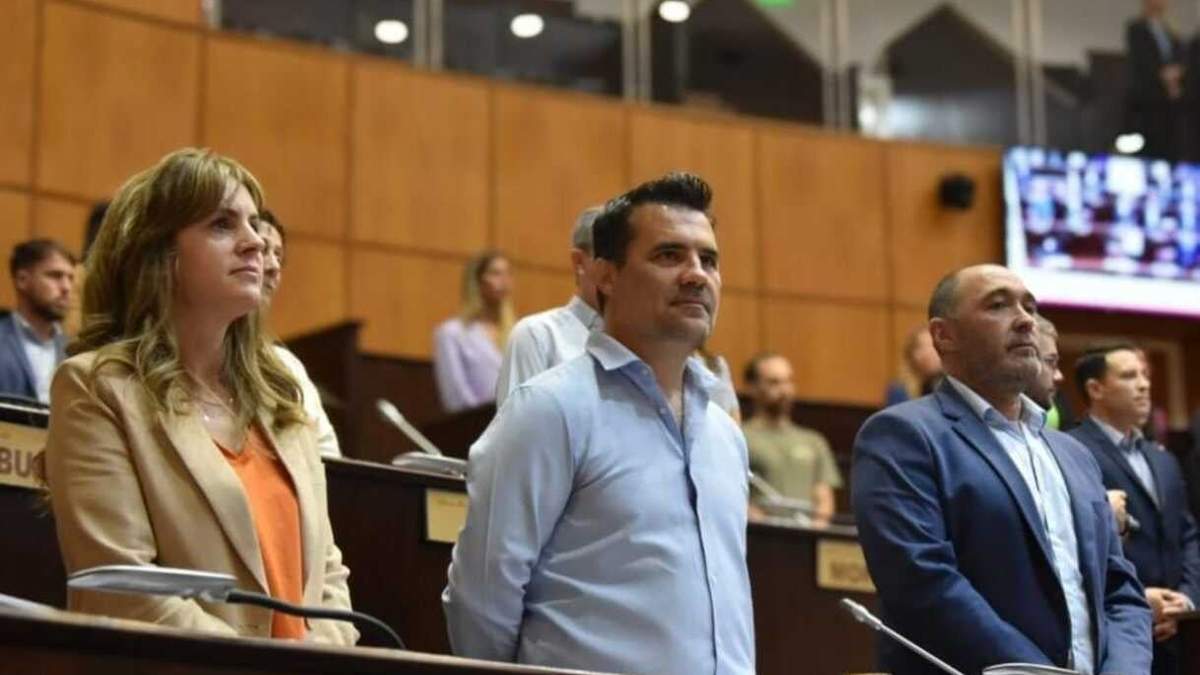 Dario Martínez solicitó que se le saque las jubilaciones de privilegio a magistrados pero no lo logró. Fuente (UxP).