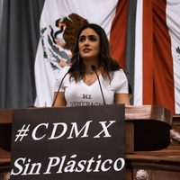 Diputada renuncia al PVEM por violar la ley con "influencers"