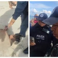 Denuncian brutalidad policiaca en Playa del Carmen; pescador murió tras ser detenido (Video)