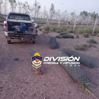 La Policía del Neuquén secuestró cuatro rollos de alambrado y una camioneta en la meseta