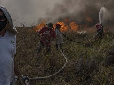 Los vecinos de Corrientes se organizan para combatir los incendios