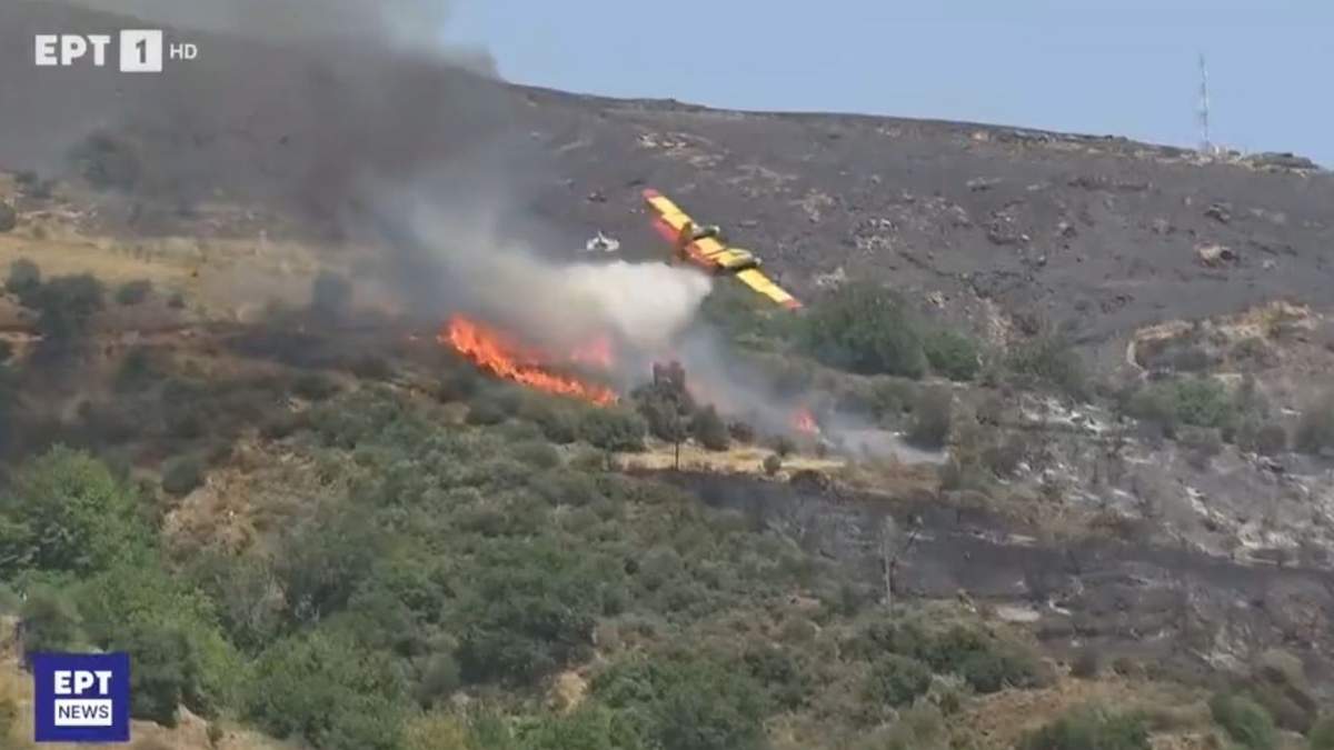 Avión combate el incendio