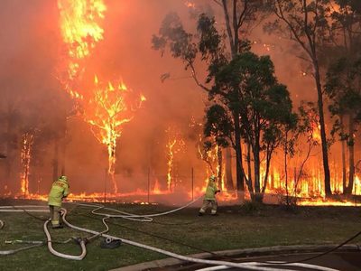 Los incendios en Australia provocaron hasta ahora 20 muertes y la mayor evacuación de la historia