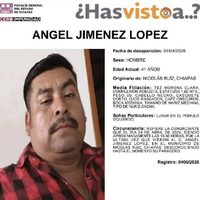 CED emite Acción Urgente para México por la desaparición forzada de indígena maya tseltal