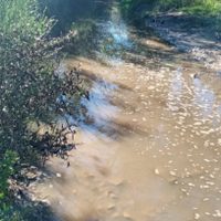 El EPAS responsabilizó al municipio de Villa La Angostura por el derrame de líquidos cloacales