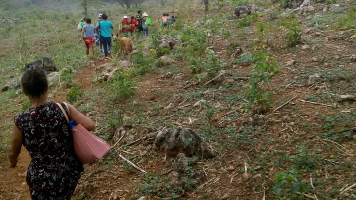 Desplazados en Chiapas