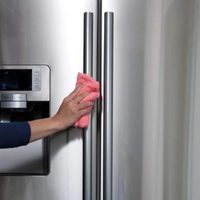Con solo 2 ingredientes que tenés en casa: dejá los electrodomésticos de tu cocina brillantes