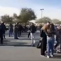 Revendedores de pasteles de Costco arman zafarrancho en Ciudad Juárez