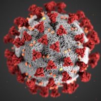 EU se da dos semanas para tener más información sobre la variante omicron