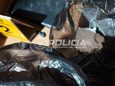 Neuquén: allanaron un "aguantadero" y secuestraron armas, drogas y elementos robados