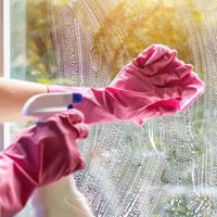 Sin escobilla ni productos caros, así de fácil podés dejar tus vidrios y ventanas sin vetas
