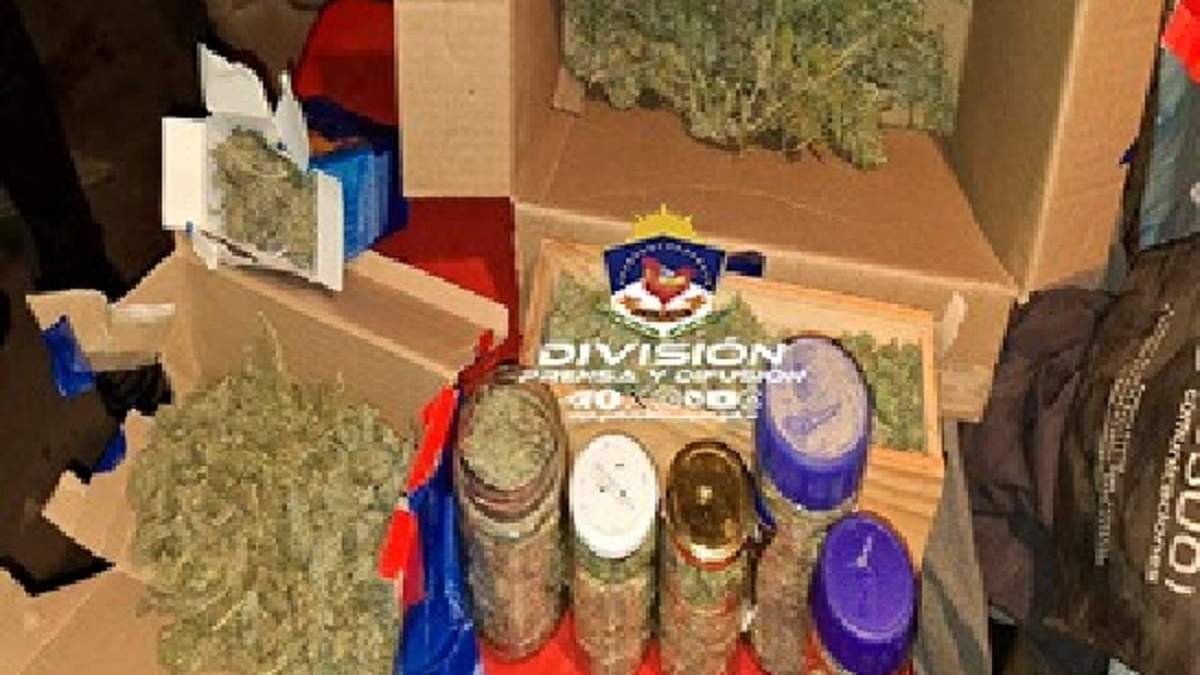 Parte de la droga encontrada en uno de los domicilios allanados. Fuente (Policía de Neuquén)