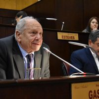 César Gass: "No sé cómo deviene esta situación"
