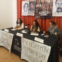 Colectivos piden a nueva titular de la CNB contratar peritos independientes para búsquedas (Video)