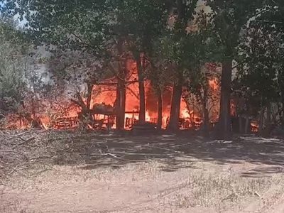 Bomberos voluntarios de Rincón de los Sauces lograron contener el enorme incendio en la zona de chacras