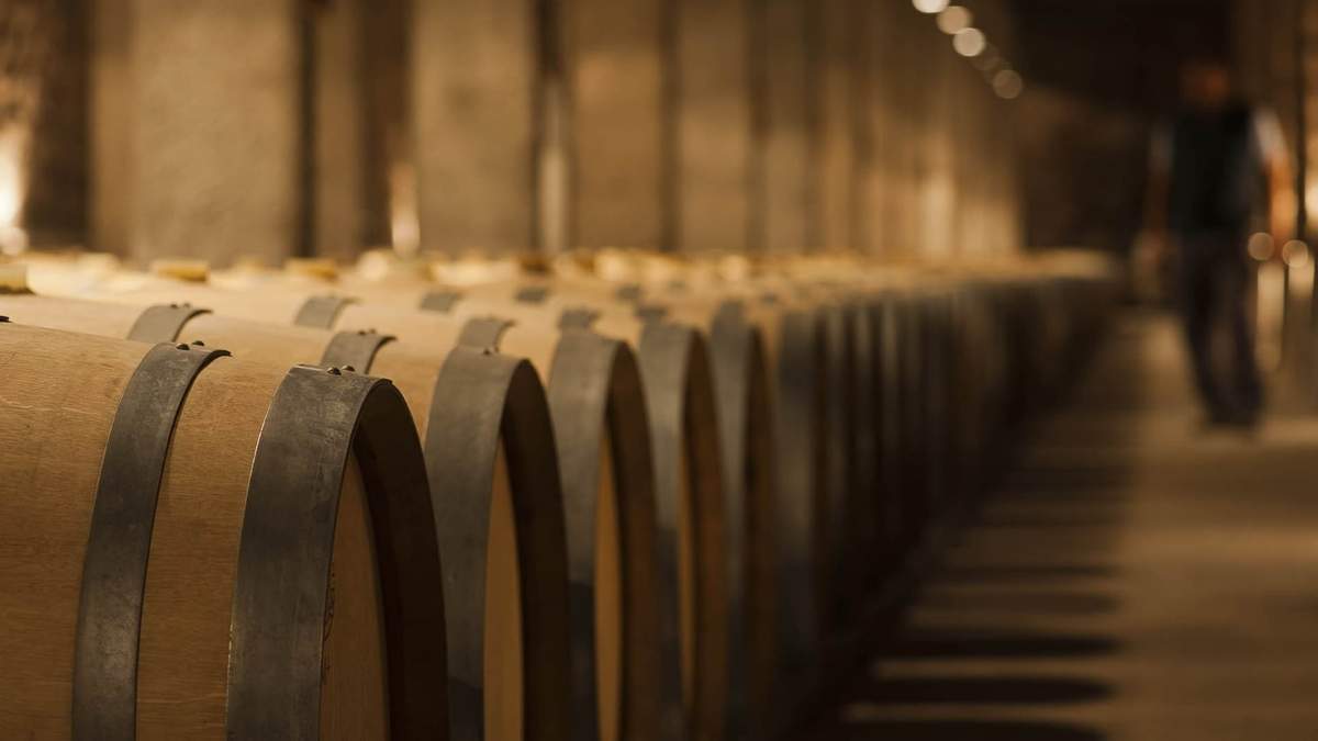 Promueven la creación del Banco de Vinos. Fuente: (Twitter)