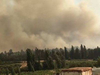 Detiene a un hombre que habría iniciado dos incendios en Chile