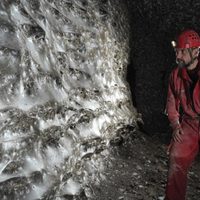 Encontraron una megaciudad subterránea de más de 100 mil arañas