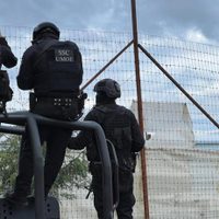 Operativo de SSC alrededor del refugio animal en el Ajusco; buscan evitar sustracción de felinos