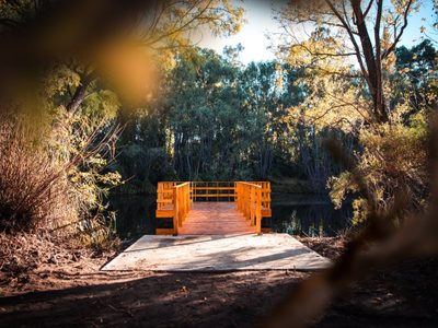 El Jardín Botánico de Plottier tiene jerarquía internacional