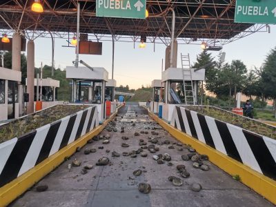 Barbosa procederá contra normalistas que vandalizaron la caseta de Atempan