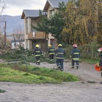 Lo que el viento dejó: por el temporal hubo árboles caídos y cortes de luz en Neuquén