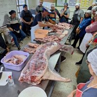 Se realizó con éxito un nuevo curso de chacinados en Plottier