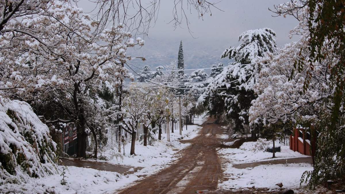 Intensa nevada en Córdoba. Fuente: (Twitter)