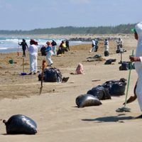 Inacción y versiones contradictorias acusan pescadores tras desastre ambiental en el Golfo de México
