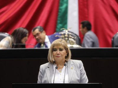 Diputada del PRI pide al gobierno federal implementar programa nacional de baches