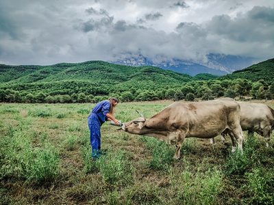 Un concurso premió las mejores imágenes del mundo rural en pandemia